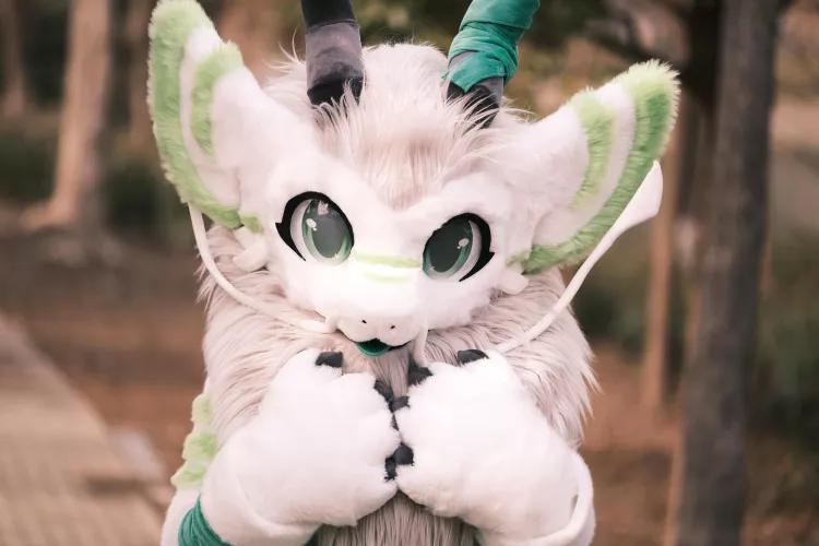 MiRin2016 aka Sampplu (@NighrVern on Twitter)