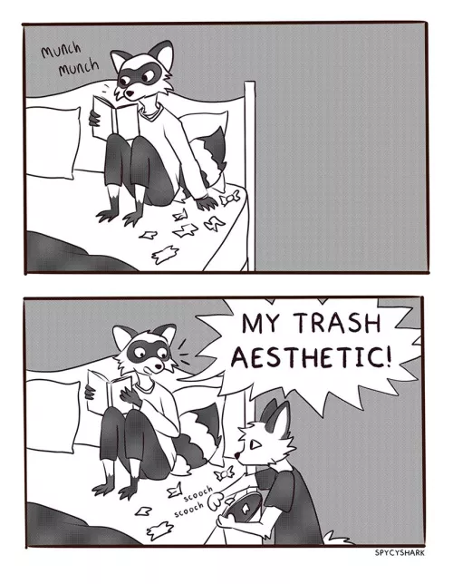 Raccoon Aesthetic by me @spycyshark