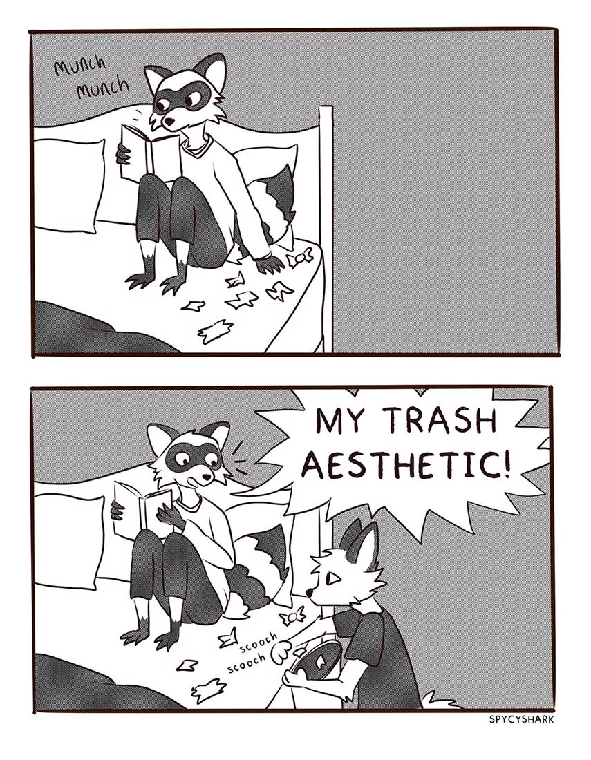 Raccoon Aesthetic by me @spycyshark