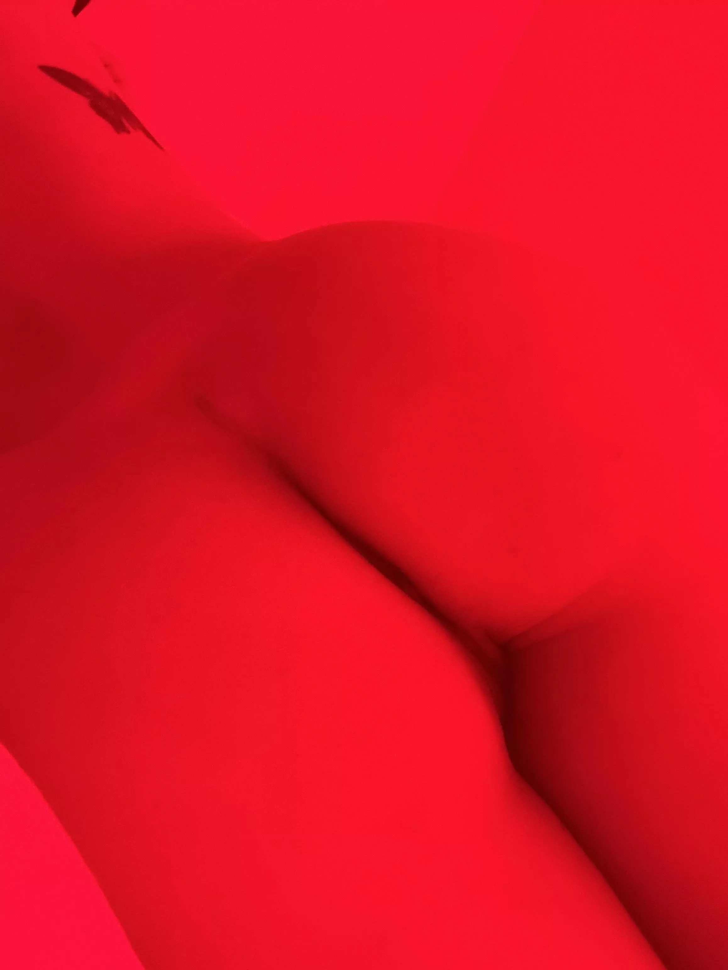 Serving up cake for a snack..