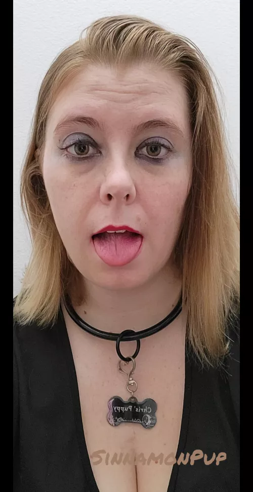 Sinnamon is all dressed up and ready to play