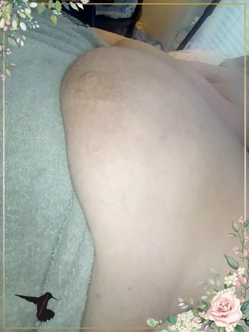 Titties Worth Framing!