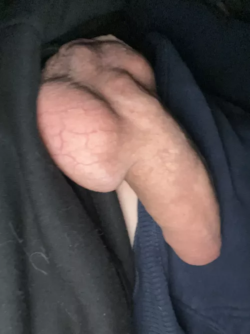 Come over lick my balls?
