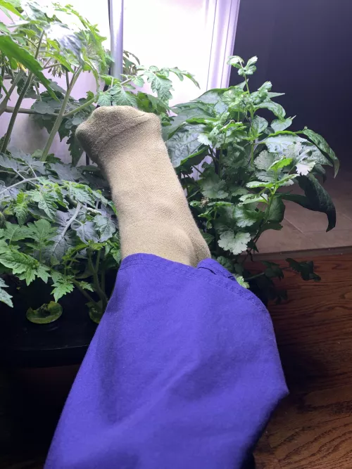 Compression socks 🧦