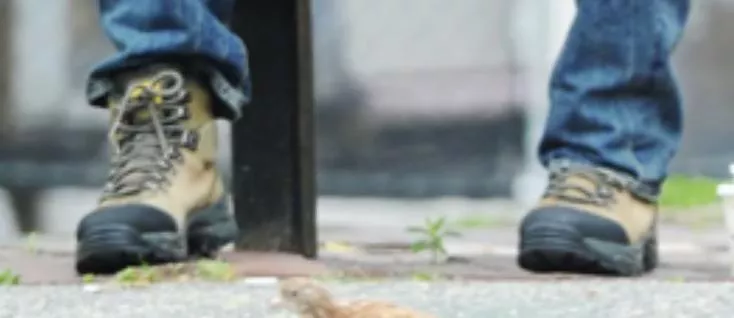 Does anyone know what boots these are?