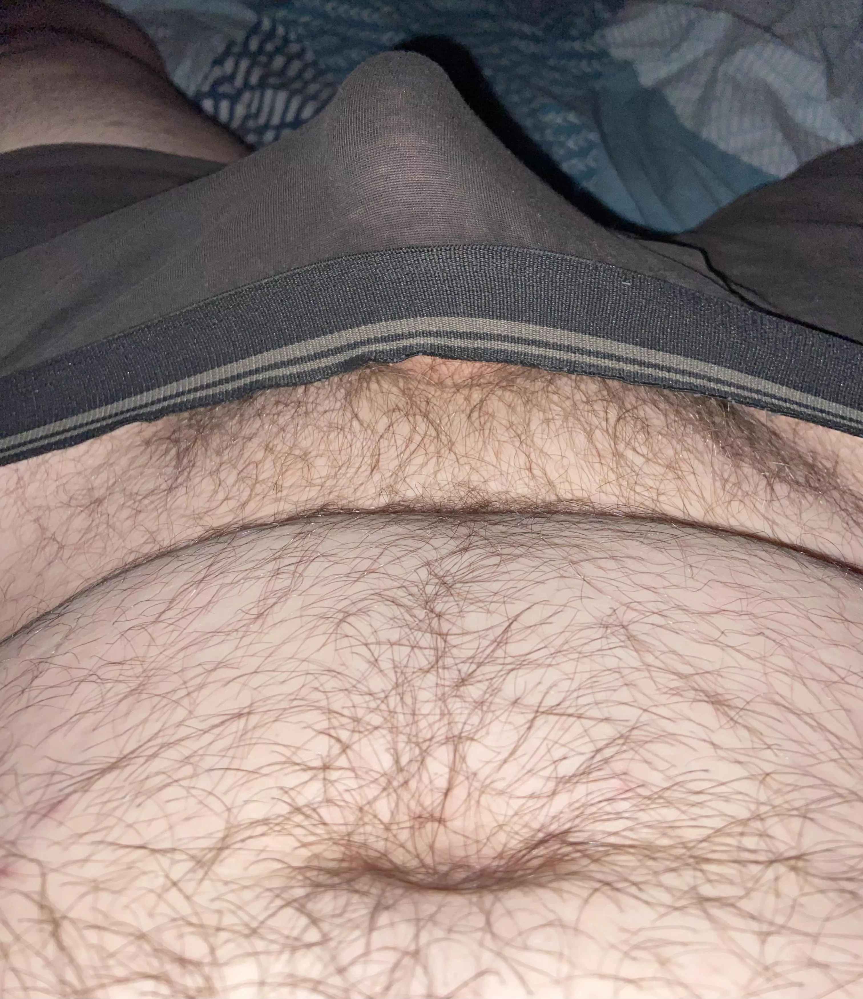 Drunk and horny bear