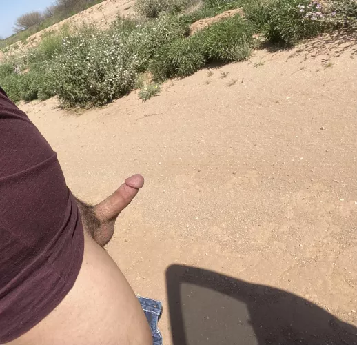 Had to pull over and get a little sun