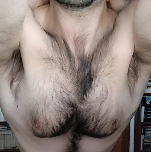 Hairy Mediterranean armpits anyone?