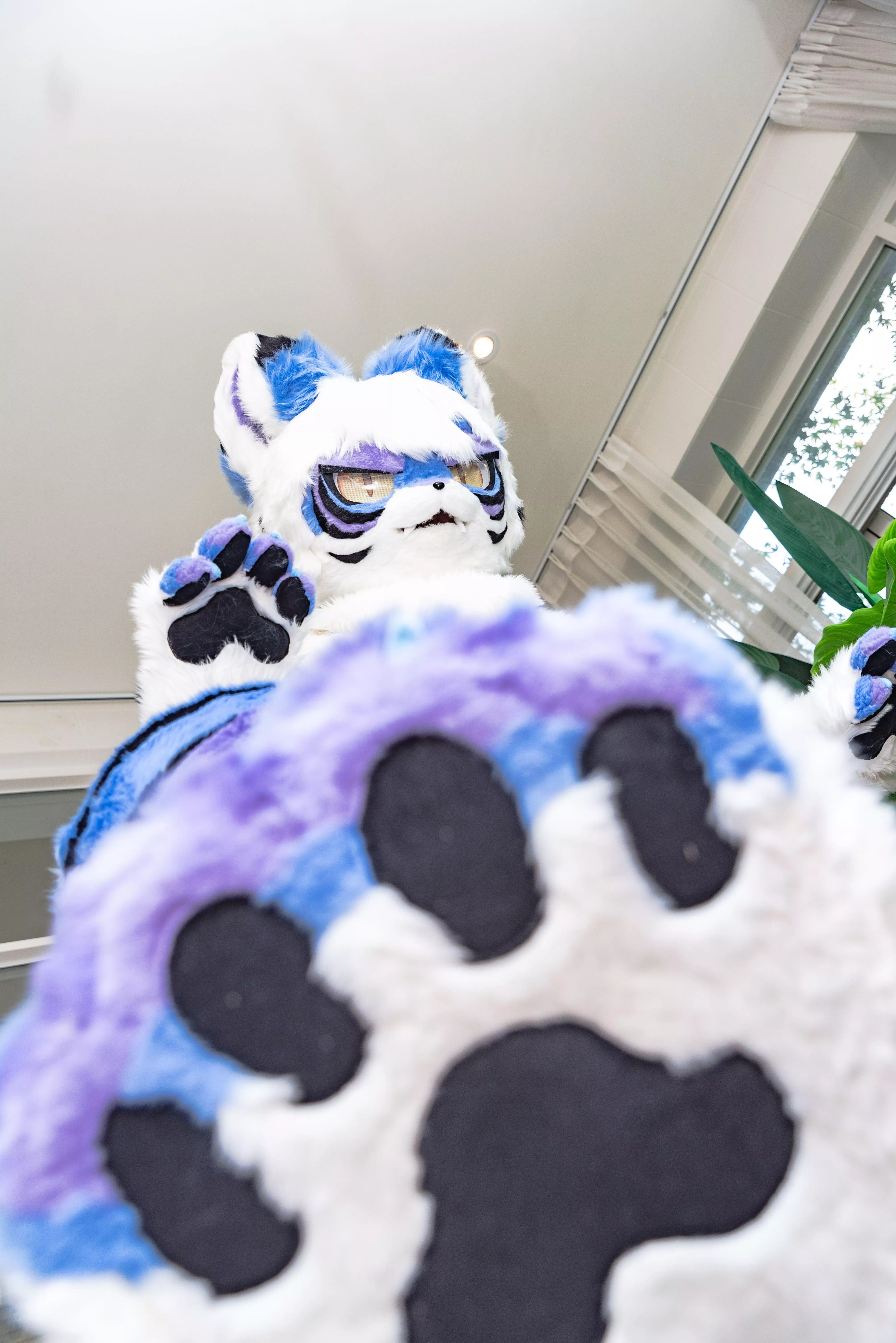 Hello There Tiny Hoomans!