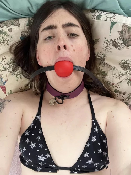 I want to be sodomized