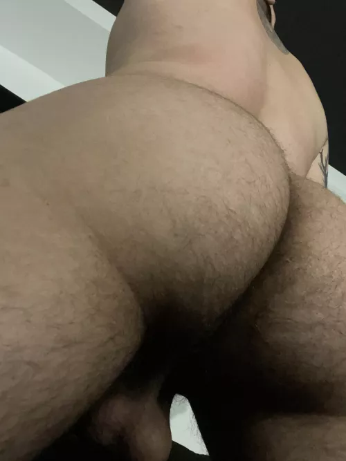 Lick my hairy ass
