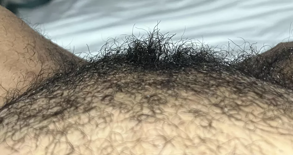 Like a patch of grass x