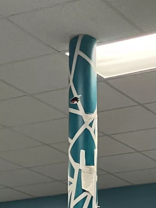 Not exactly on topic but I found this guy in the wild.