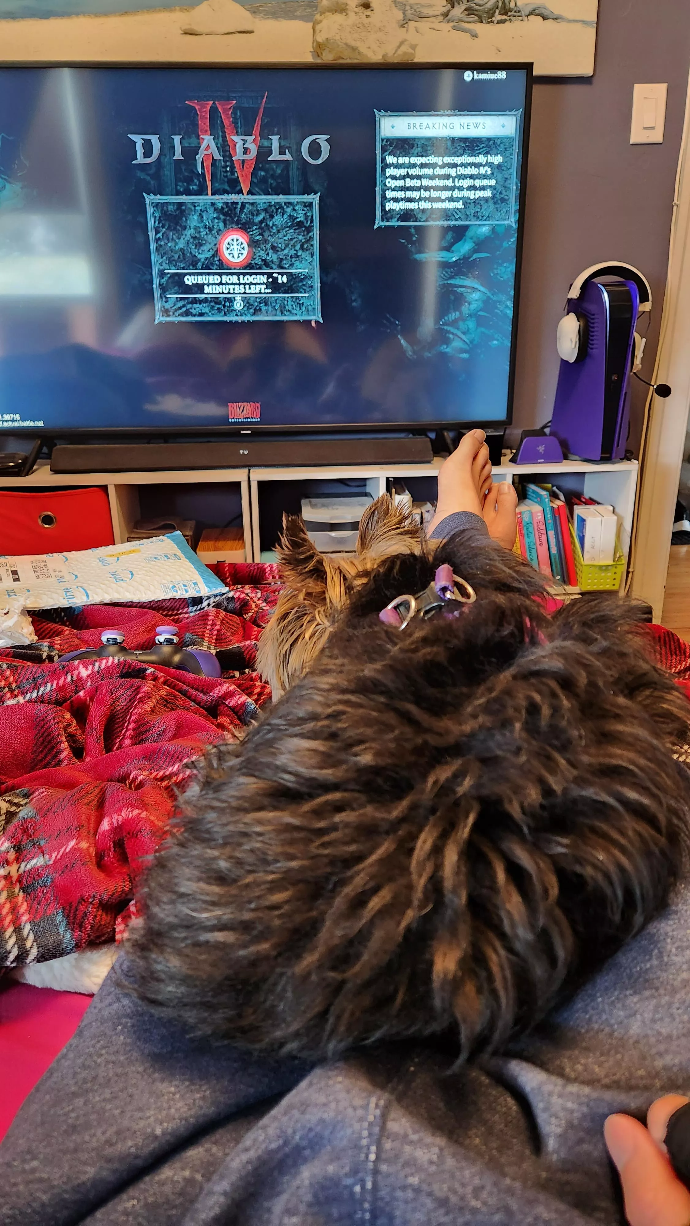 Open beta queue and doggy