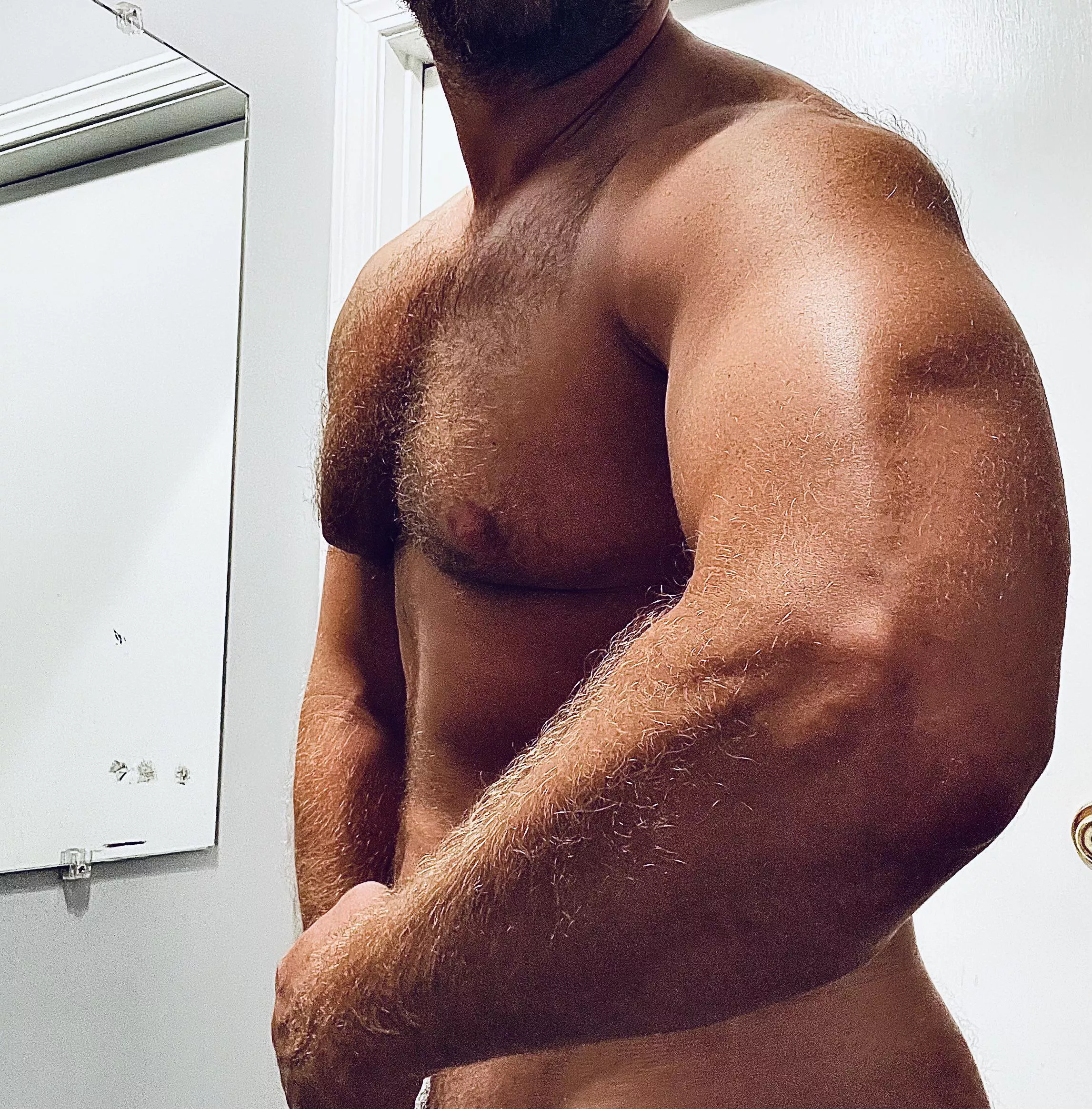 right to bear arms 🐻