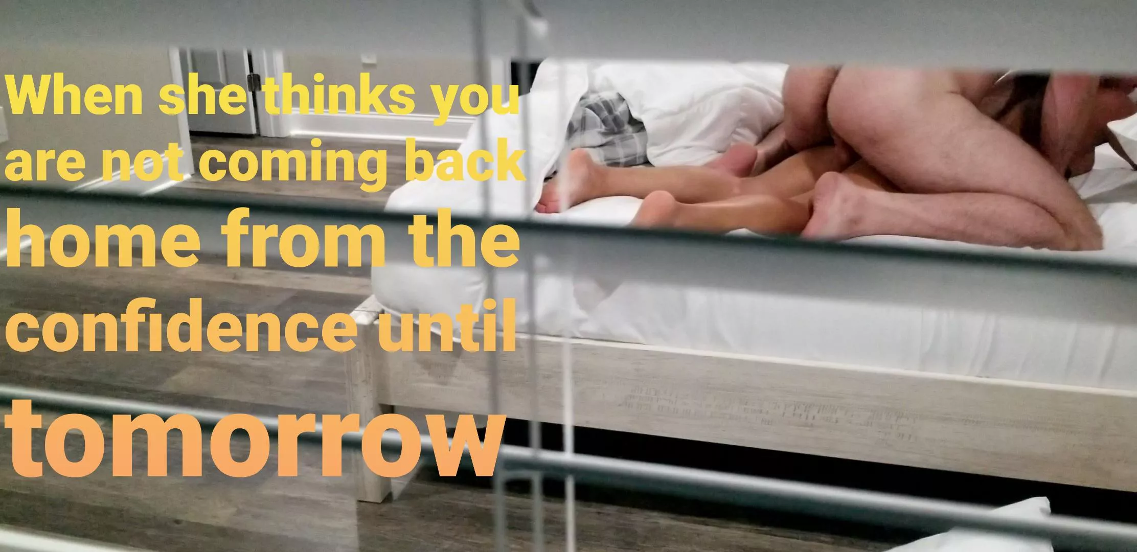 Should have stayed at the conference