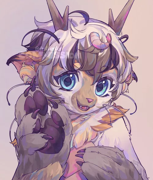 shrimpy kitty dragon!