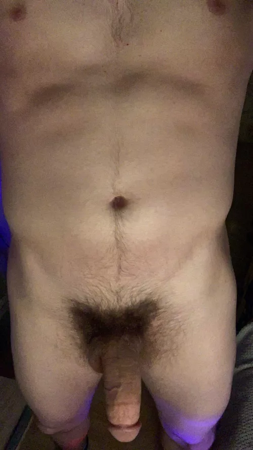 The bush is coming in nice. 21