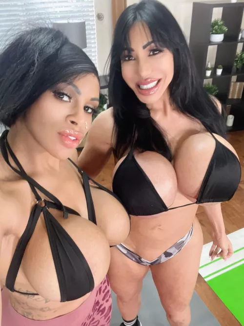 Two busty bimbos