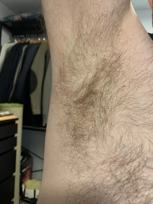 Wet and musky from this mornings hike