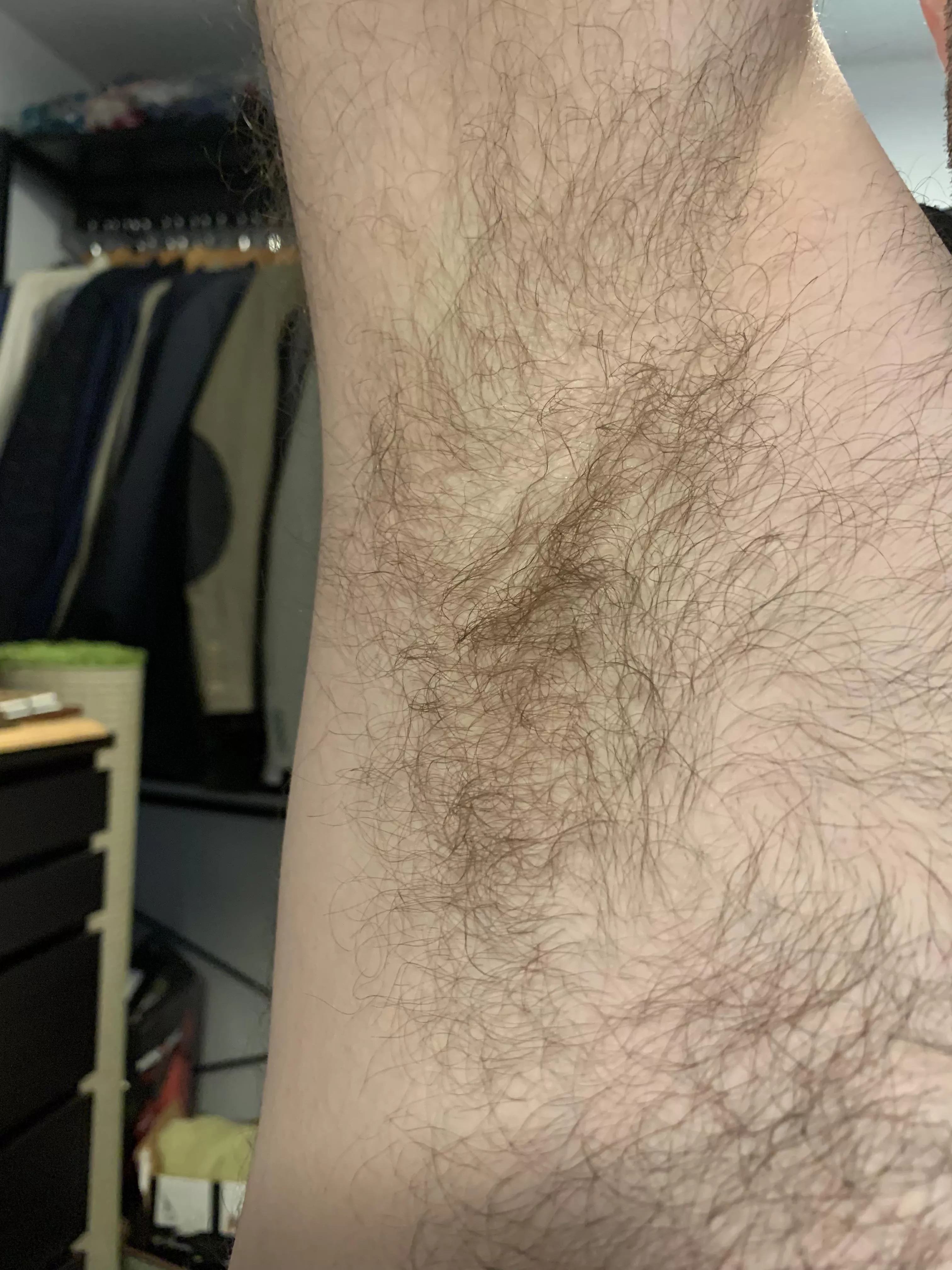 Wet and musky from this mornings hike