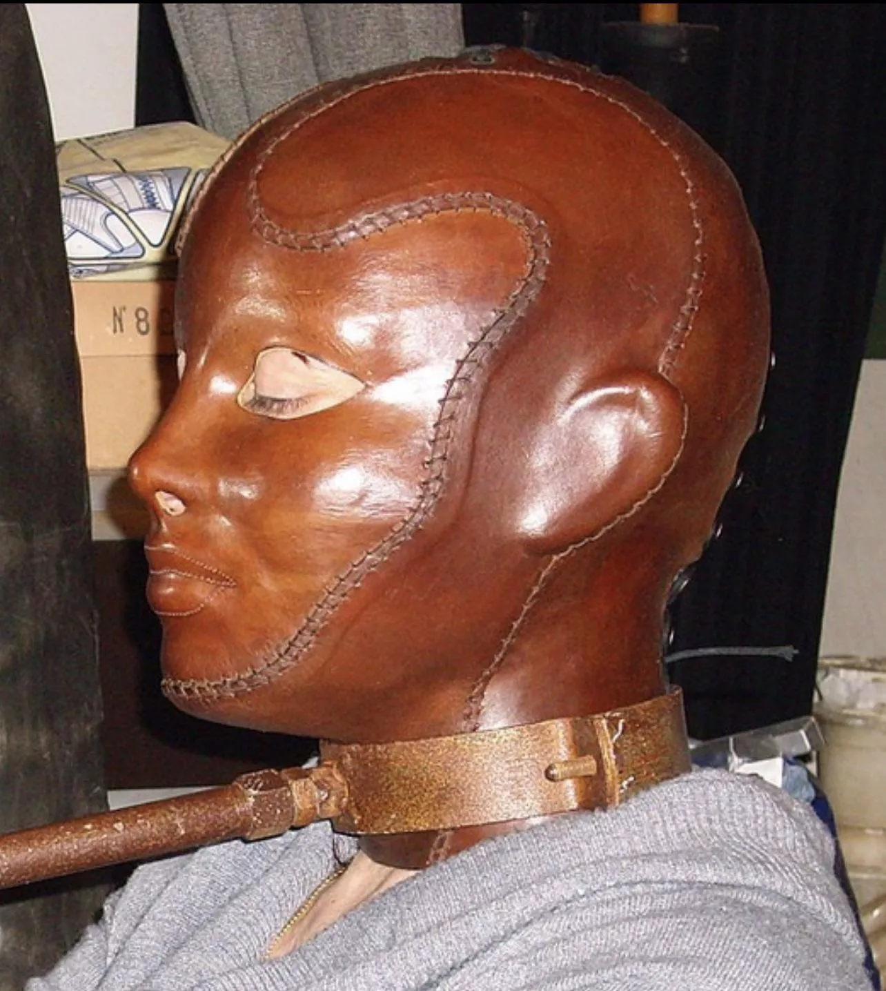 Where in the world can I find this amazing hood!