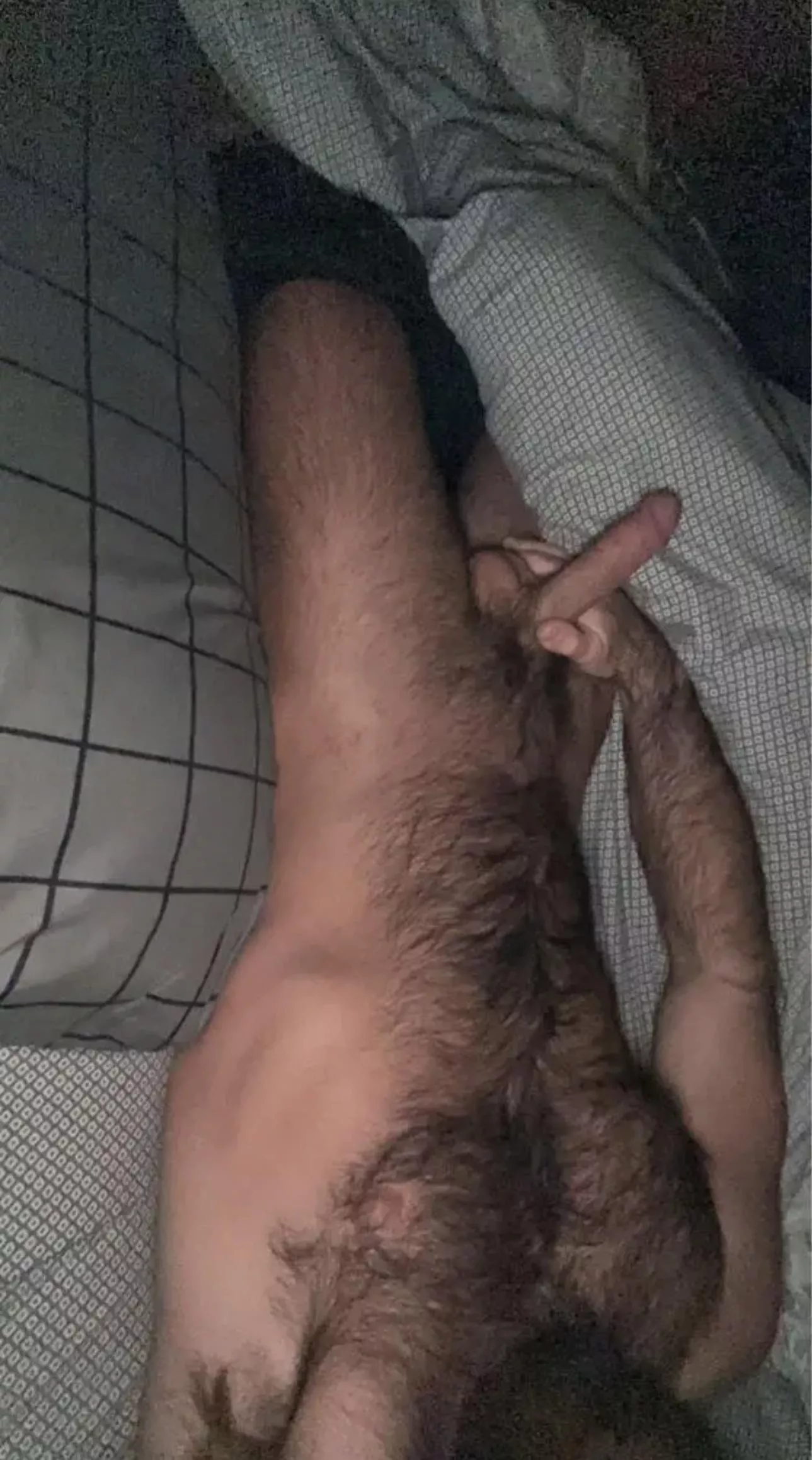 Wood morning😈 (30)