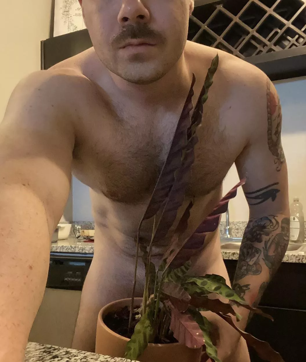 [35] Say aloe to my big friend.