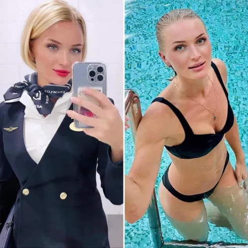 Best job in the world