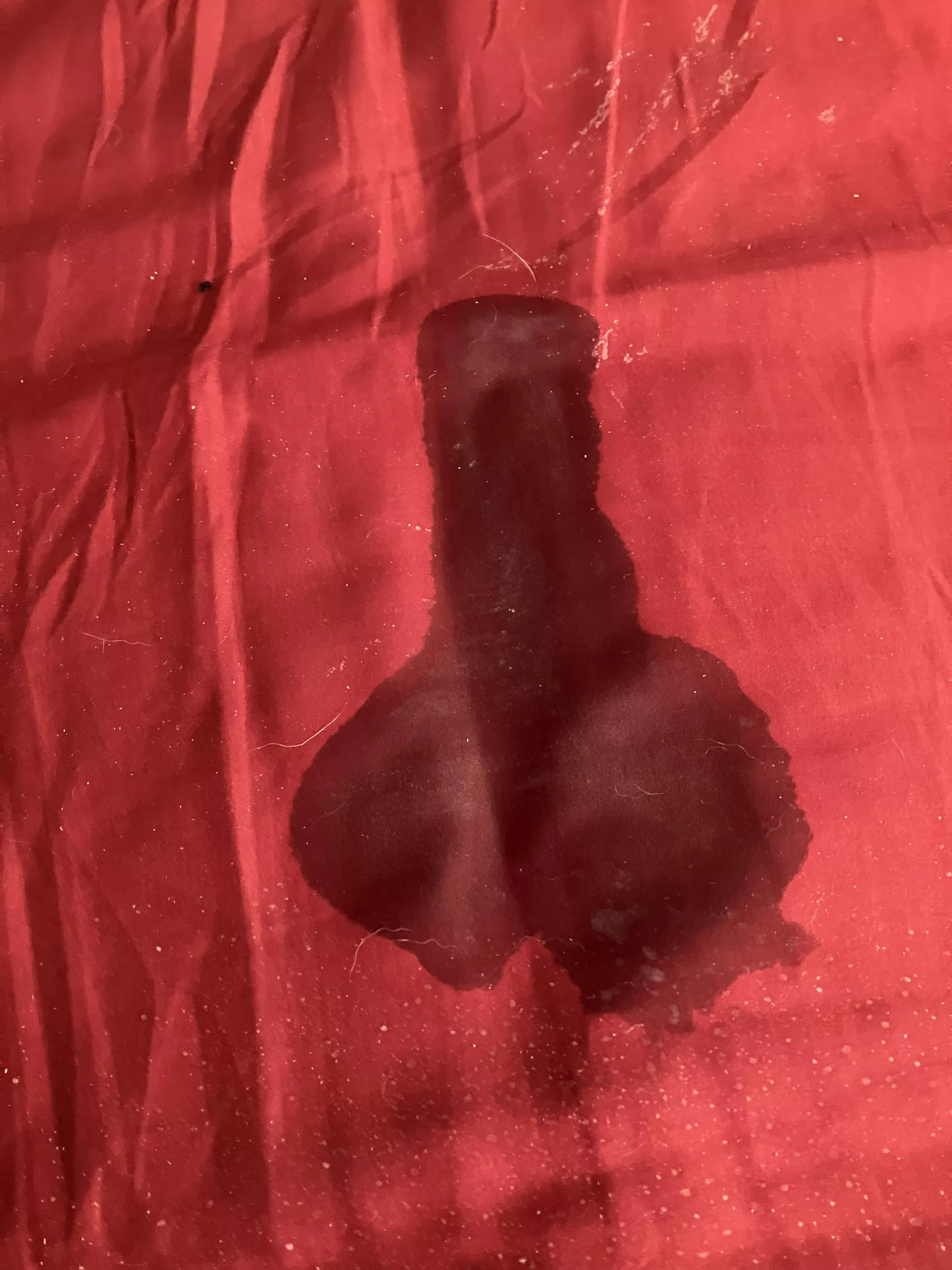 Cum stain on the bed sheet looks like a penis