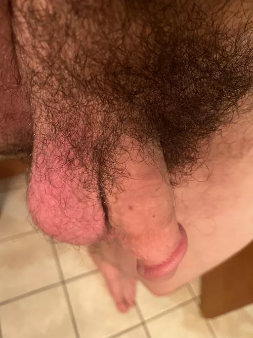 Do my pubes fit here? (31)