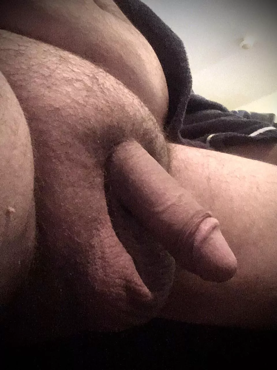 Good morning from a closet big bicurious married bear let’s chat about my fantasies