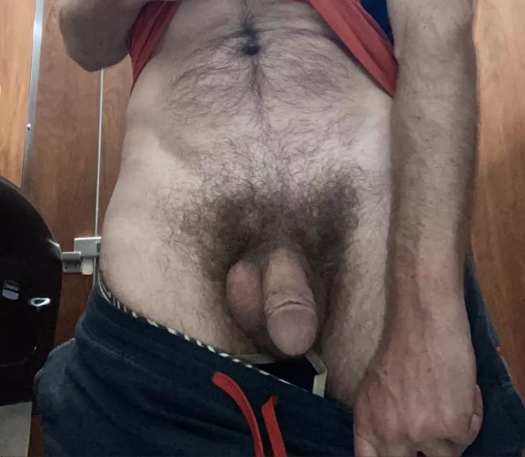 Gym bush