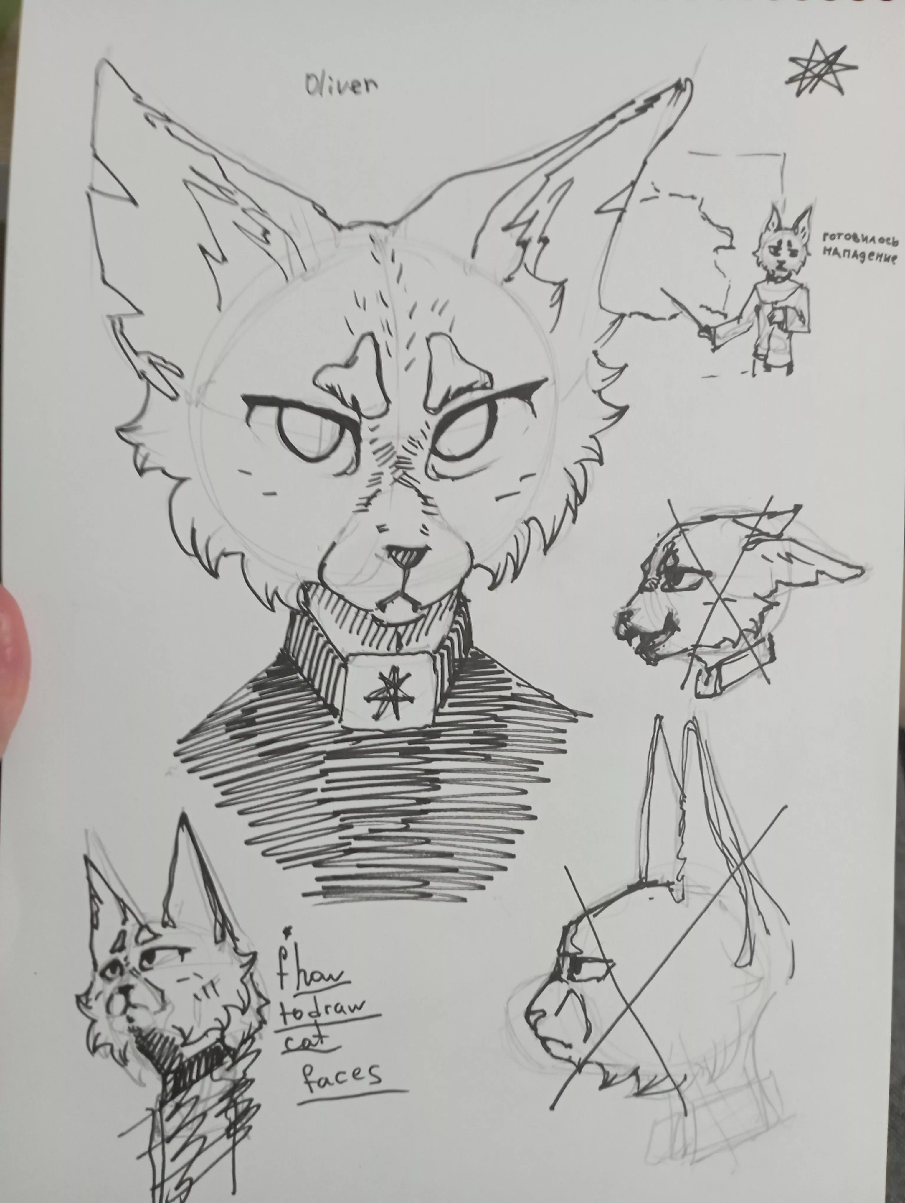 i guess... Meow? Does anyone else have a problem with drawing cats NOT frontal?