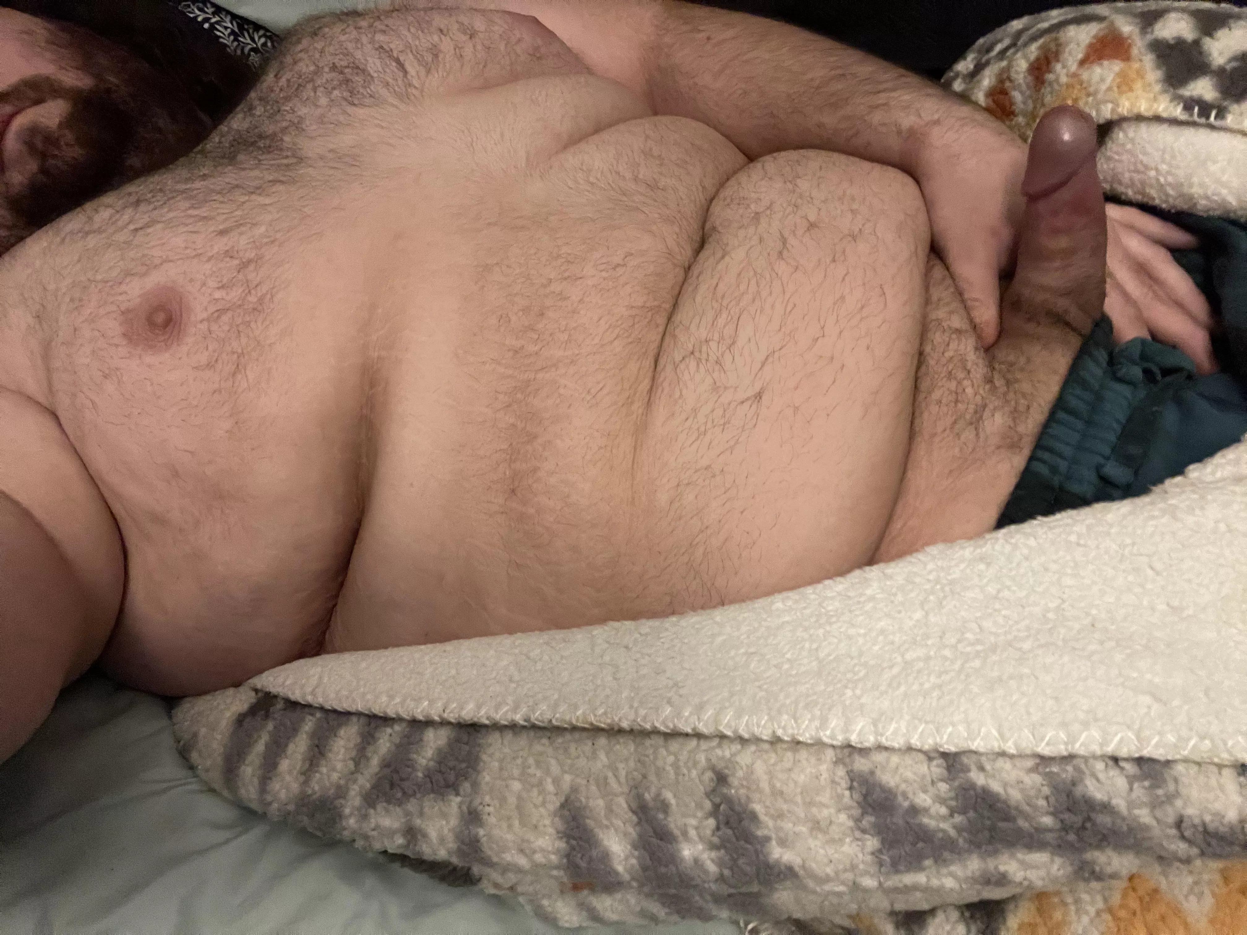 Looking for a cuddle buddy