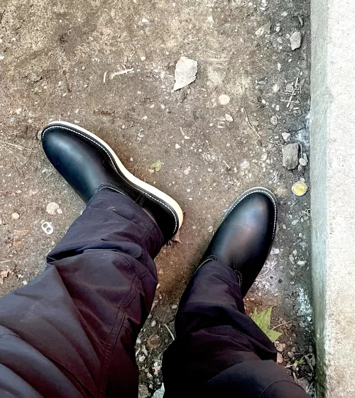 Love my new peco’s. Kinda don’t want to wear them to work anymore and just keep them for casual wear lol