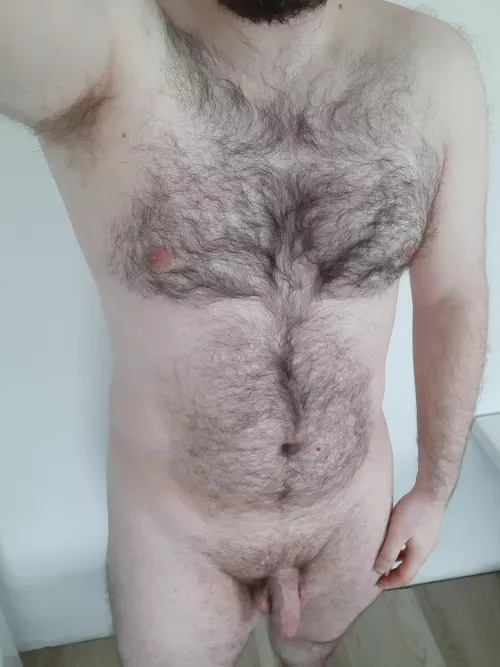 [M] Some love for a lonely bear?