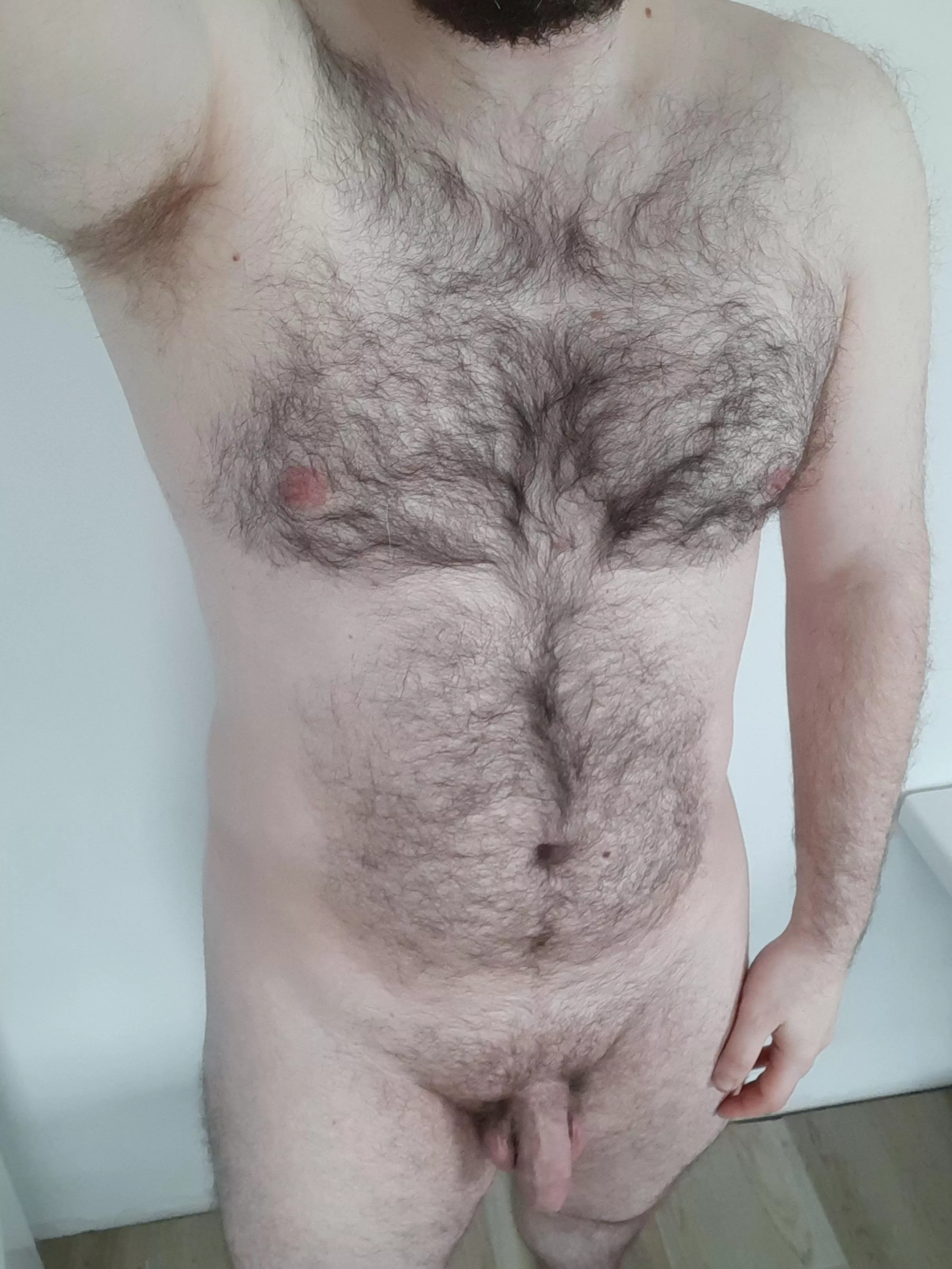 [M] Some love for a lonely bear?