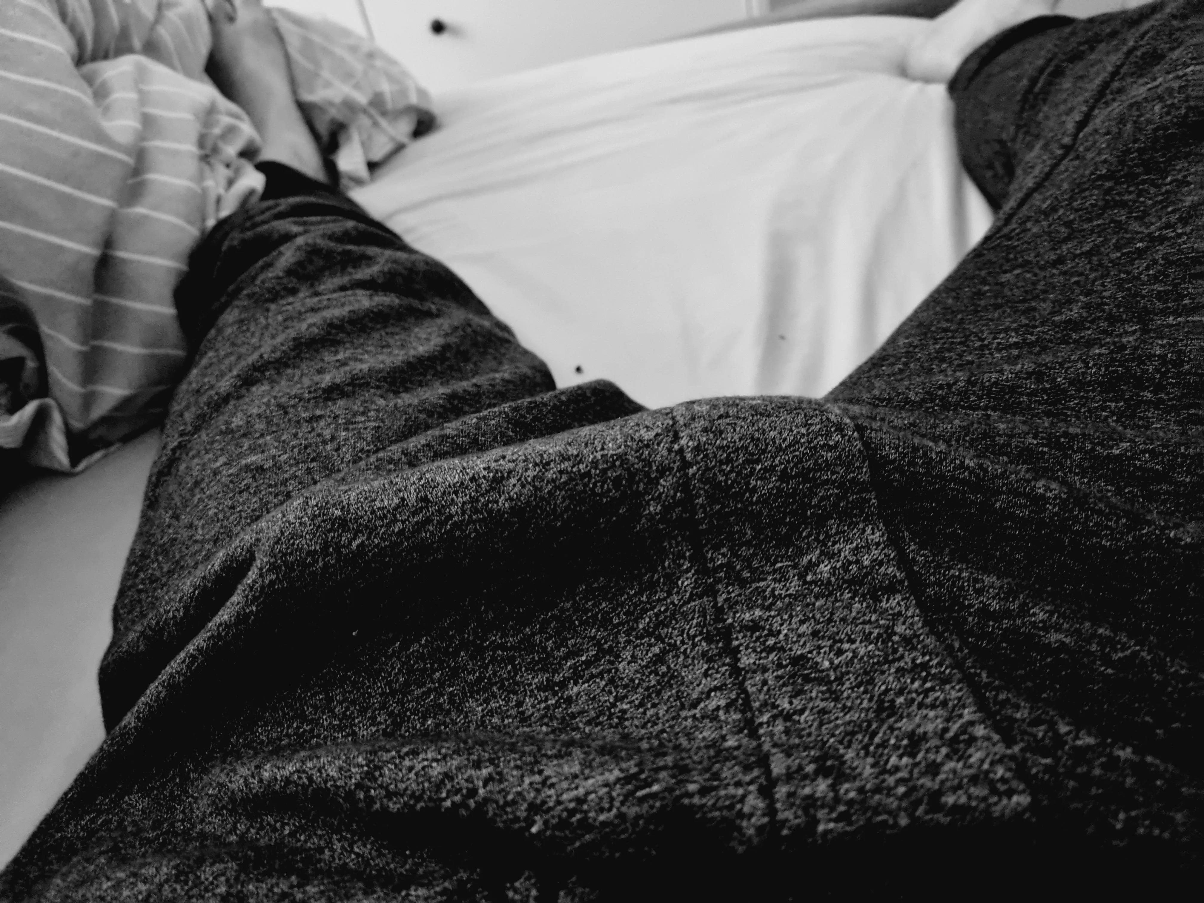 My favorite sweat pants