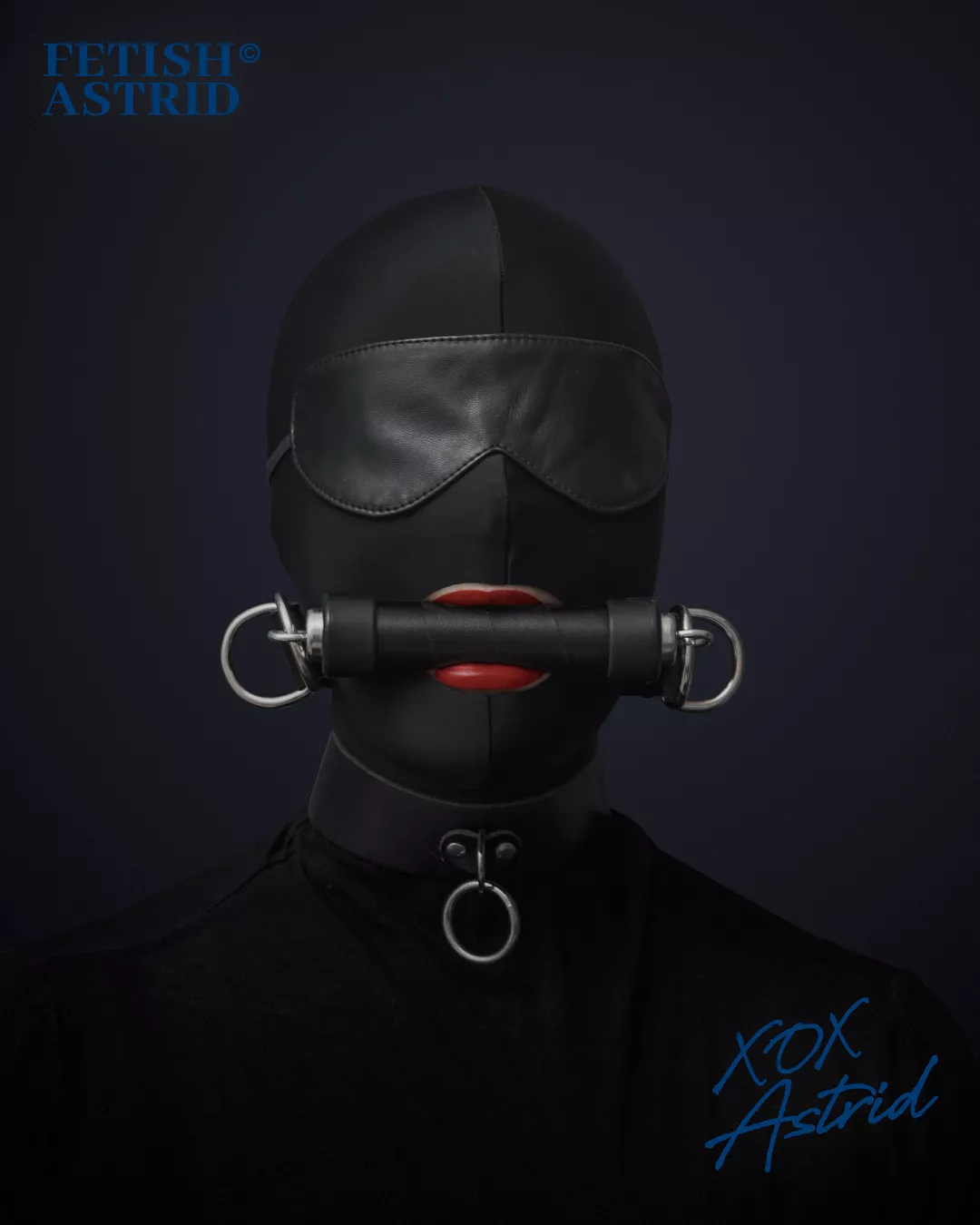 Portrait of a silent lady