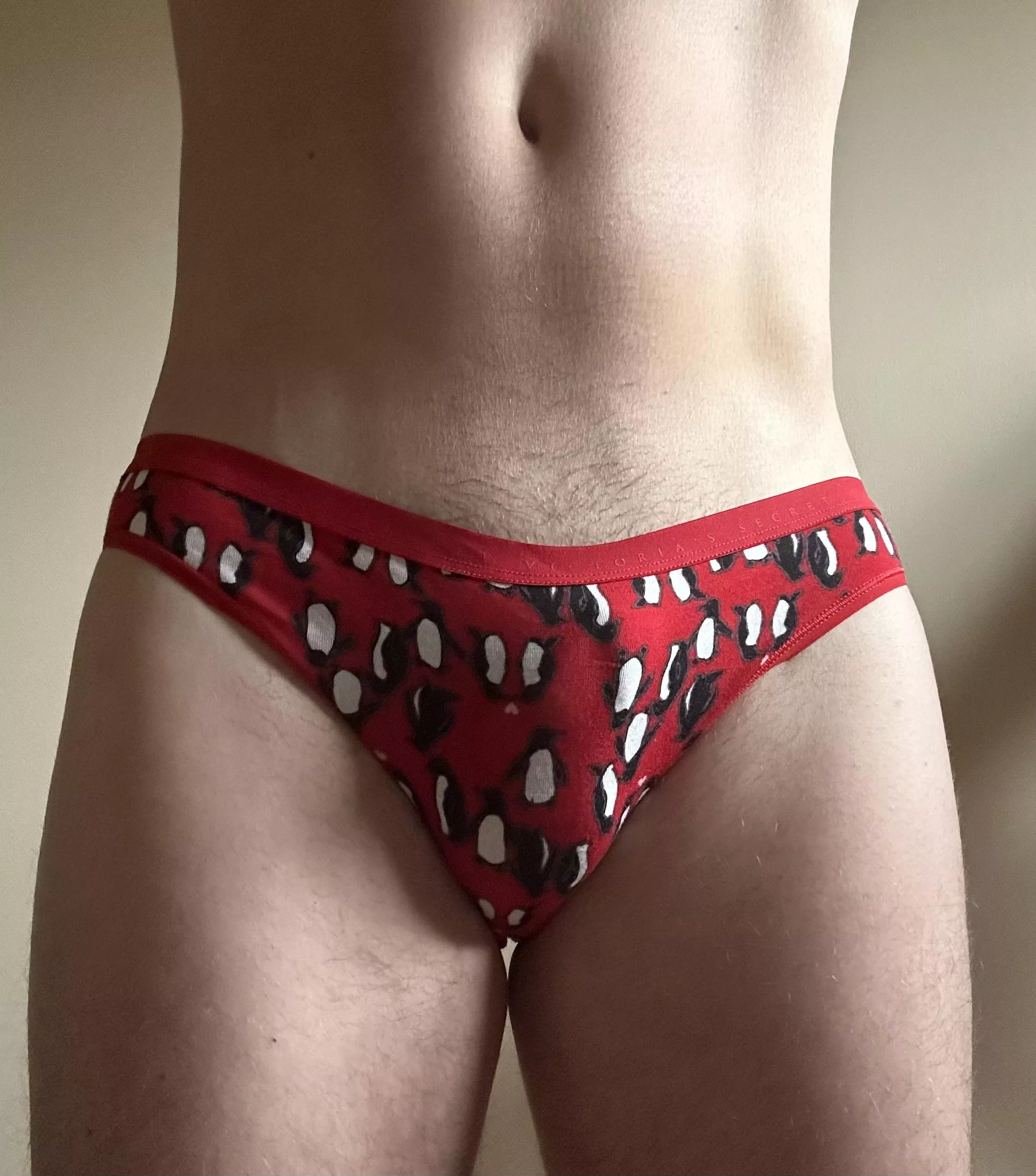 They’re little penguins!