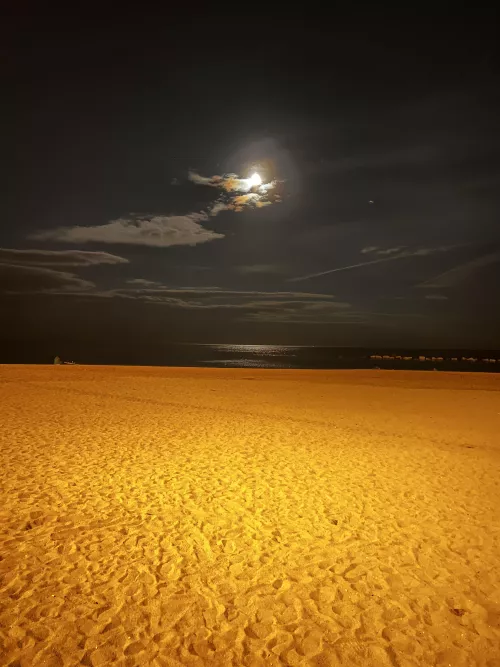 Thought you guys might appreciate the return from work as well.