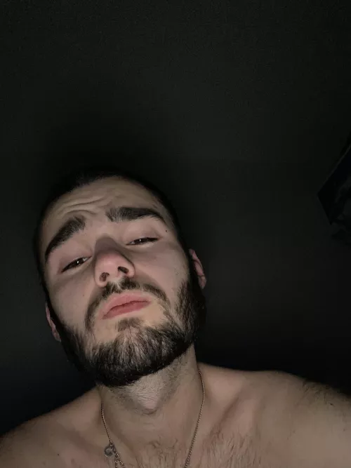 Who Would like to Fall asleep together?