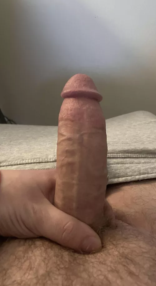 23 bi, Virginia