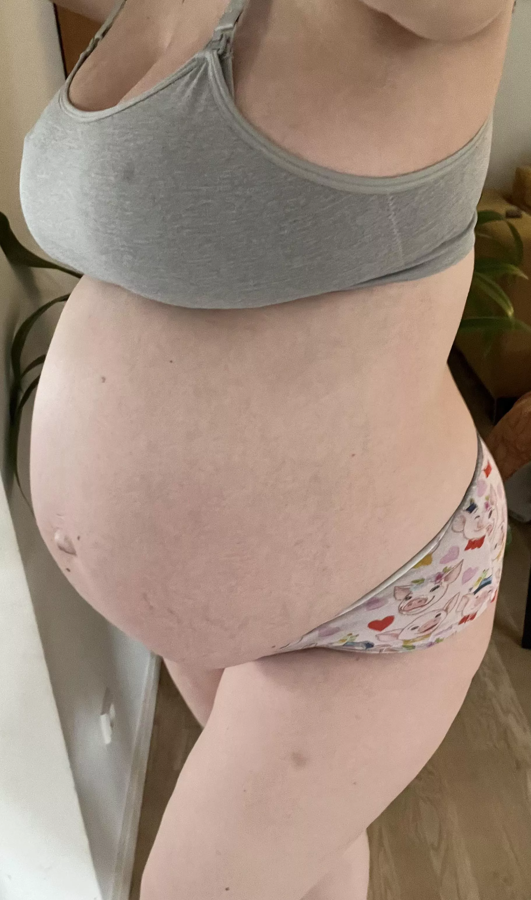 Breeding cow or pig 🐷