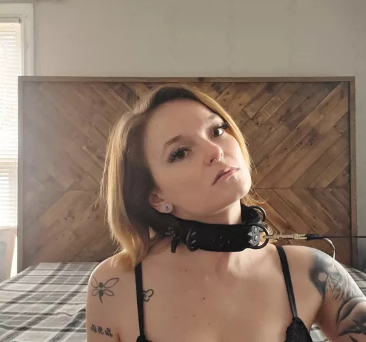 [F] waiting for someone to take the other end my leash