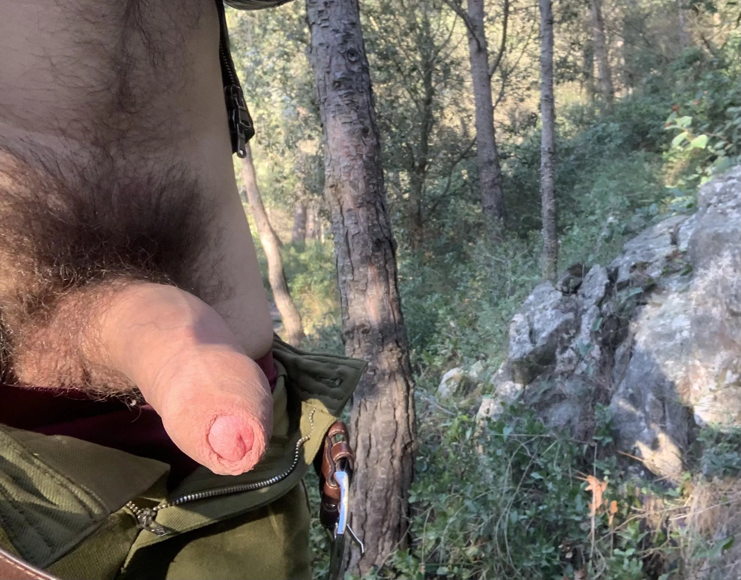 Getting hard in the woods