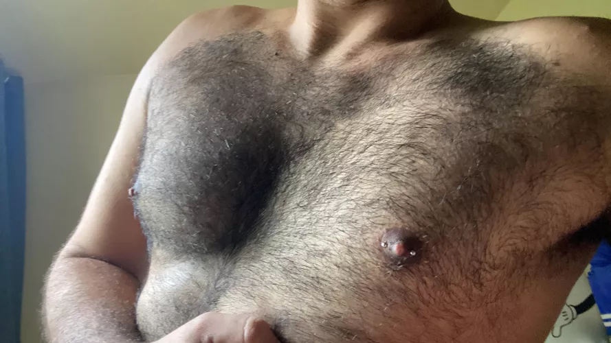 Hey all.. Do u like hairy men?