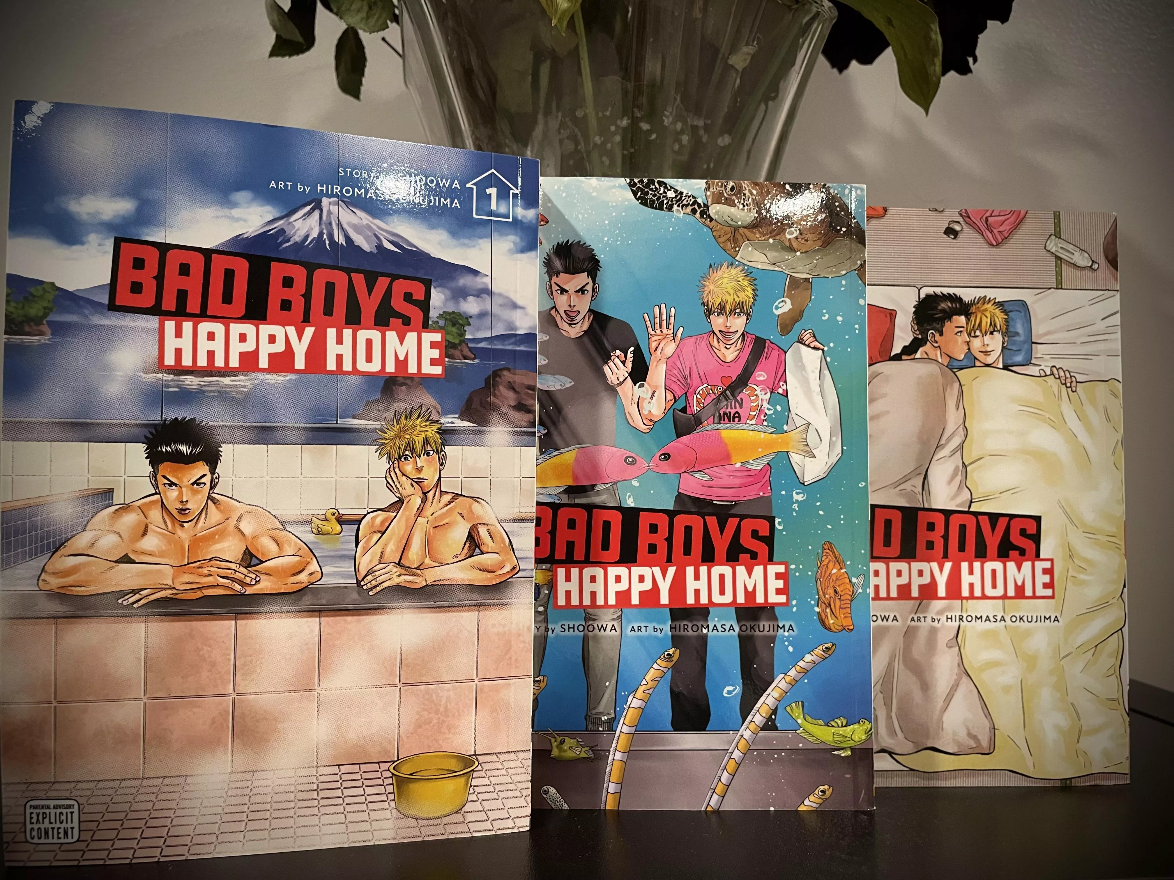 Just an absolutely gorgeous series. Beautiful story + beautiful artwork. I’m obsessed with the covers.