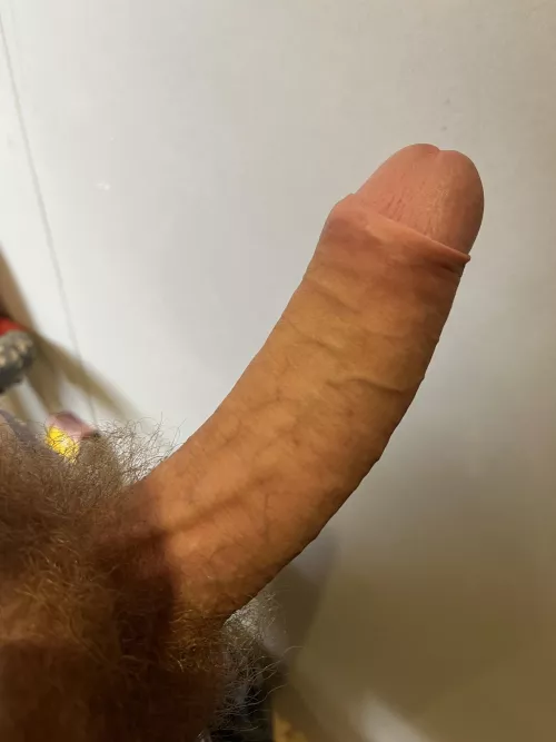 Just an average guy with an average cock